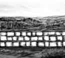 wall
