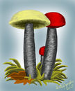 mushrooms