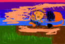 lion-at-sun-set-