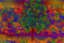 swampy-woods-autumn