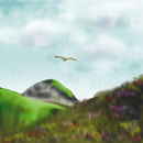 buzzard