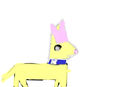 buddy