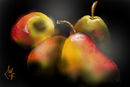 fruits fruits
