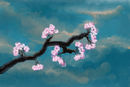cherry-blossoms cherry-blossoms