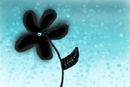 winter-blooming