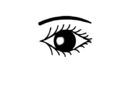 eye