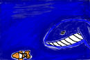 whales