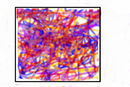 square-of-colors